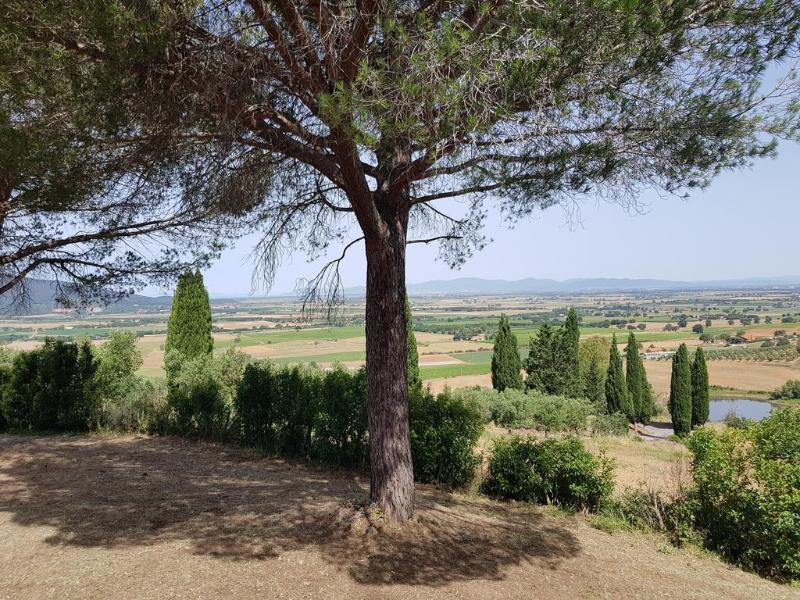 格罗塞托Poggio Alto Agrioturismo别墅 外观 照片
